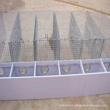 Cage de perroquet à oiseaux à chien en acier inoxydable